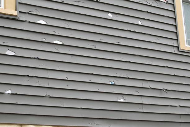 Gages Lake, IL Siding Installation Company